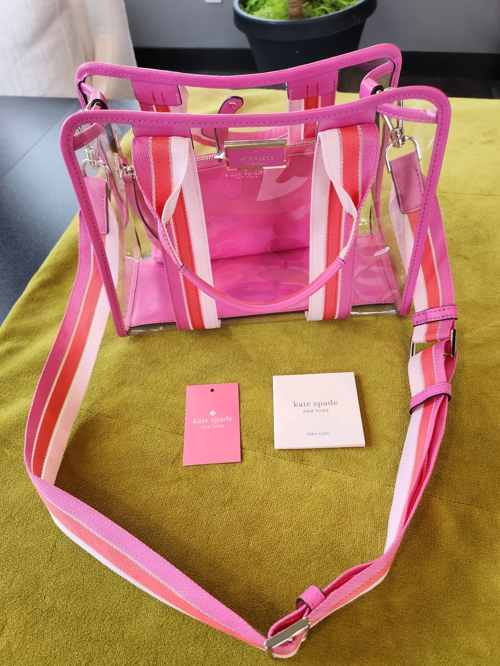 kate spade Clear Crossbody Tote with Pink Trim and Striped Strap